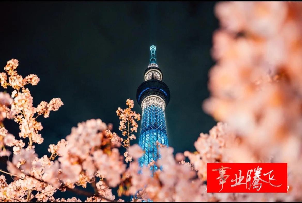 อพาร์ทเม้น Sky House晴空塔4